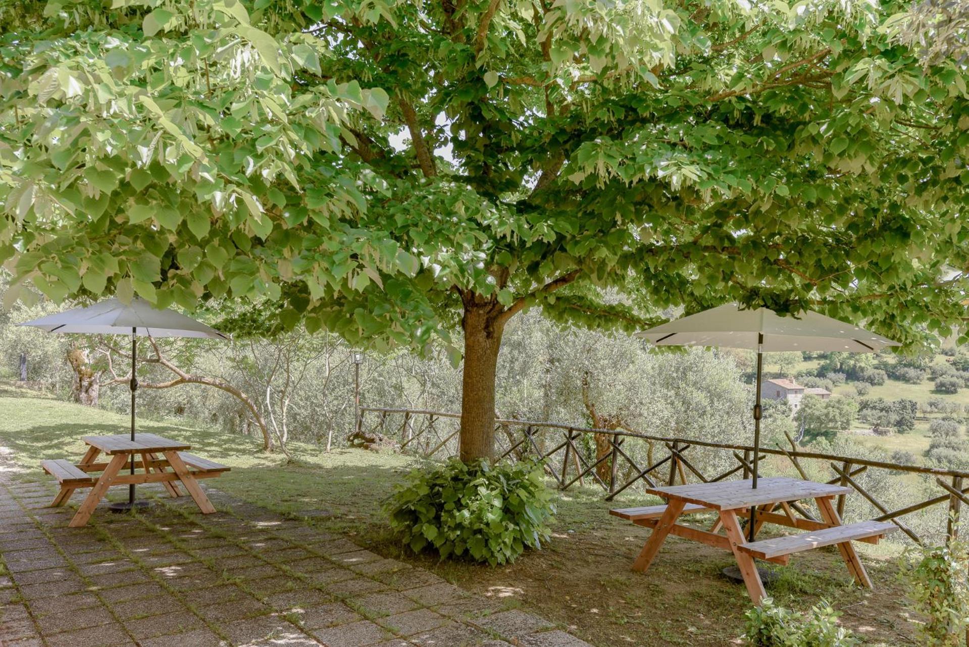 Agriturismo Il Mulino Delle Canutole Magione Ngoại thất bức ảnh