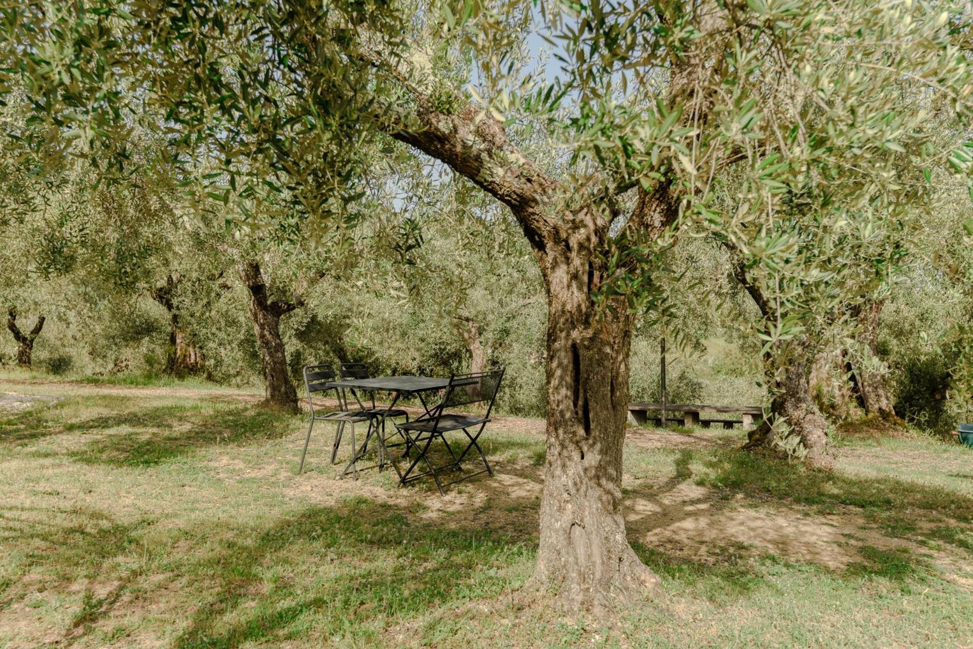Agriturismo Il Mulino Delle Canutole Magione Ngoại thất bức ảnh